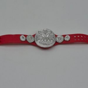 WWE Elite Mattel RAW Tag Team Title Belt