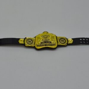 WWE Elite Mattel World Tag Team Title Belt