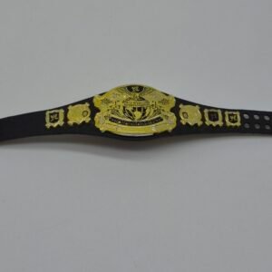 WWE Elite Mattel Undisputed Title Belt